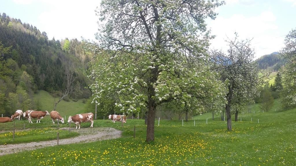 Eggbauer Βίλα Sankt Anton an der Jessnitz Εξωτερικό φωτογραφία
